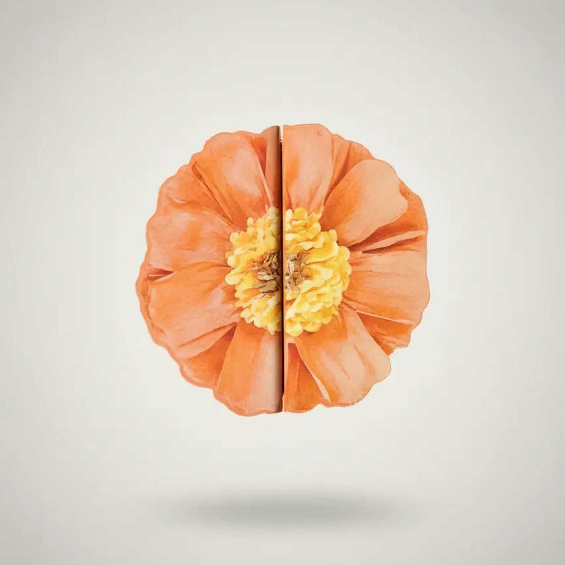 Flores Publicitárias 1