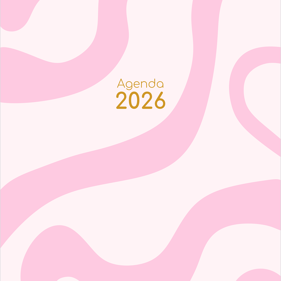 Agenda A5 370 páginas - Capa Dura 10