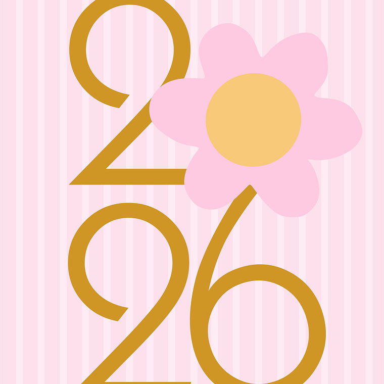 Agenda A5 370 páginas - Capa Dura 11