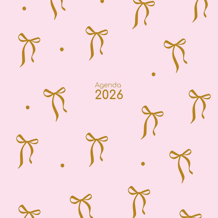 Agenda A5 370 páginas - Capa Dura 13