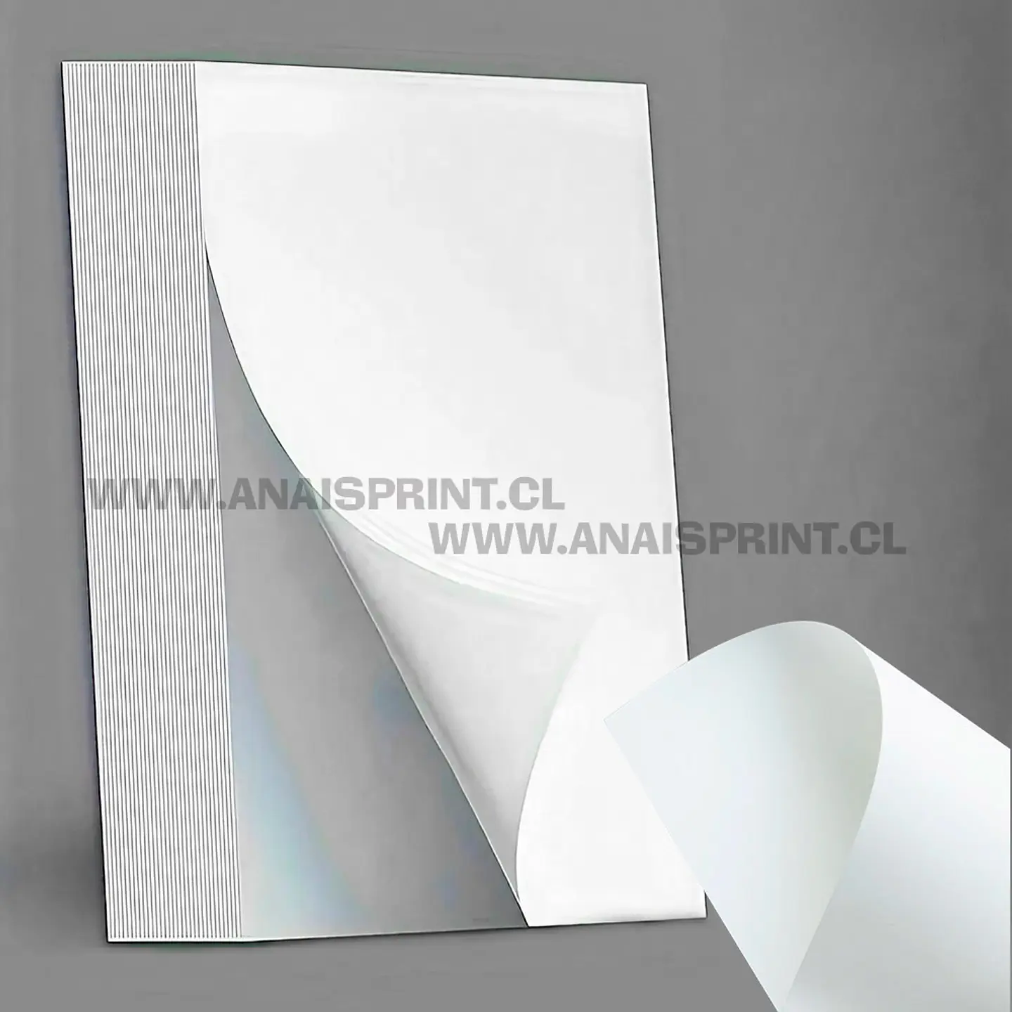 OPALINA LISA BLANCA 200 GR / A4 / 100 HOJAS 1
