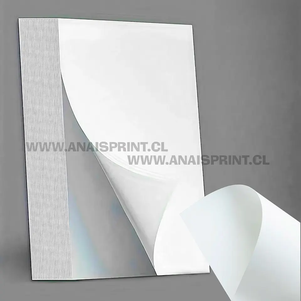 OPALINA LISA BLANCA 220 GR / A4 / 100 HOJAS 1