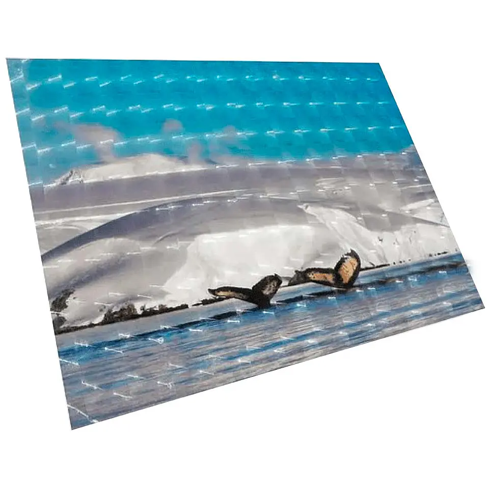 PAPEL FOTOGRÁFICO ADHESIVO 3D 135 GR / A4 / 20 HOJAS 2