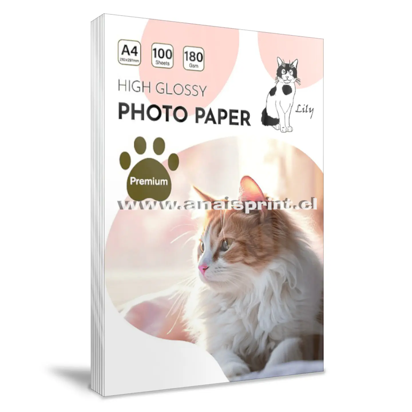 PAPEL FOTOGRÁFICO GLOSSY 180 GR / A4 / 100 HOJAS 1