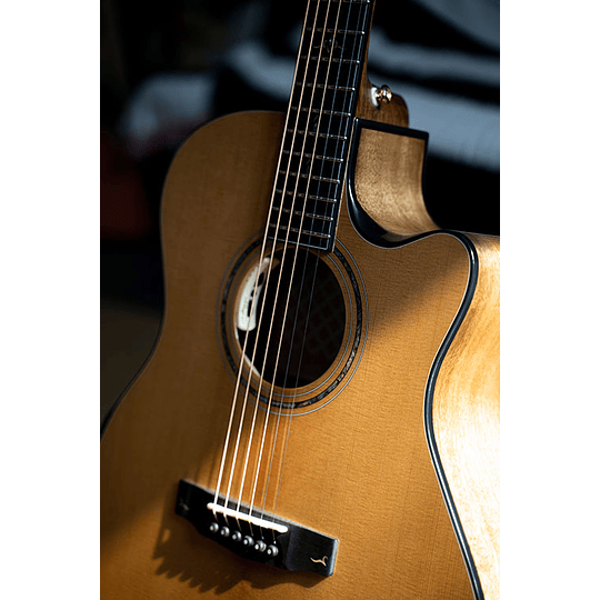 Guitarra Cort | Gold Edge NT Electroacúsica