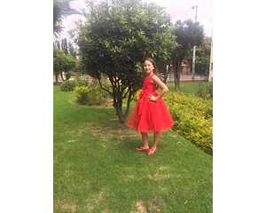 VESTIDO DAY EN TULL FANTASIA TIPO PRINCESA - ROJO