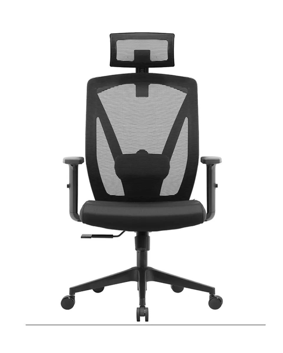 Silla Andes Summit Ergo 1