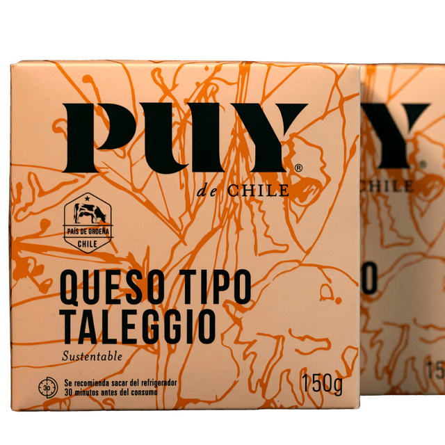 Queso Puy Taleggio