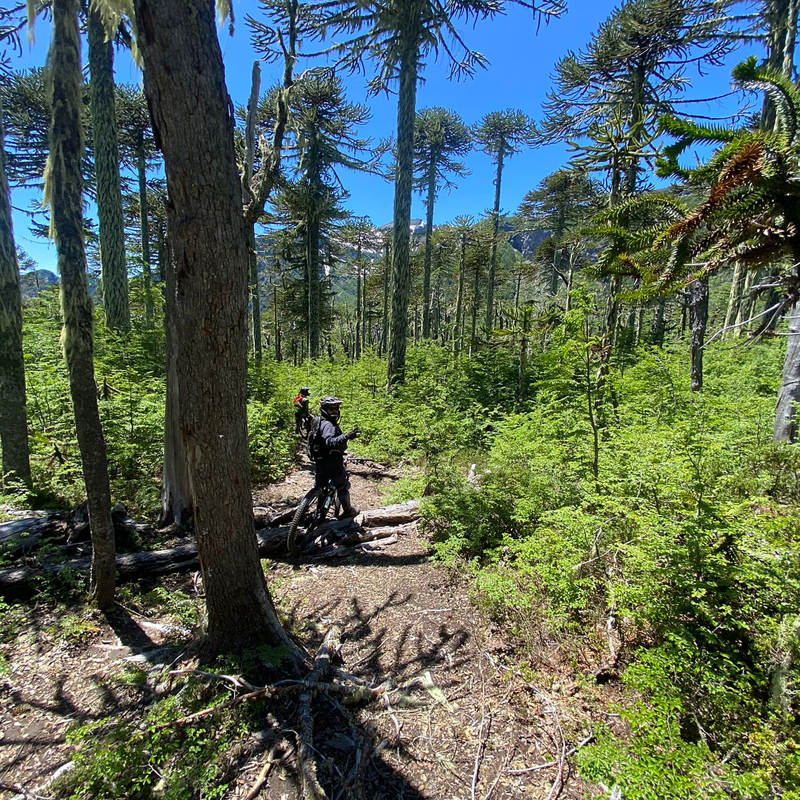 Epic Helibike Vocano Rides 10 Days / 9 Nights South of Chile 6