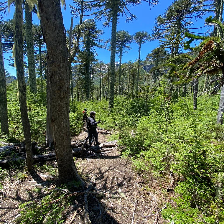Epic Helibike Vocano Rides 10 Days / 9 Nights South of Chile 8