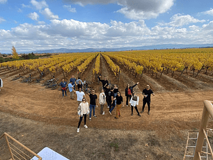 Passeio de meio dia de bicicleta e degustação de vinhos