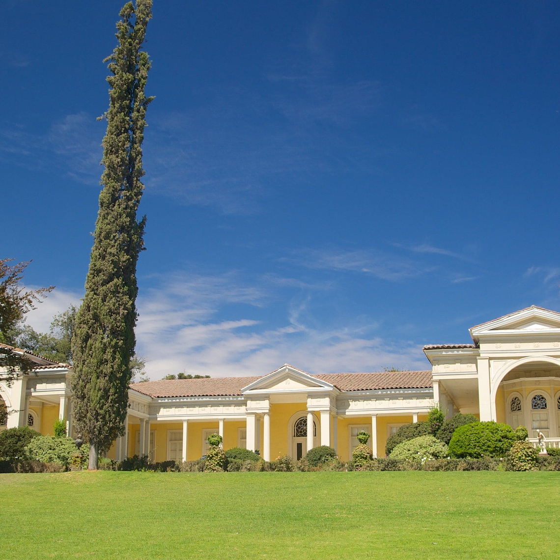 Panoramic helicopter & vineyard tour  7