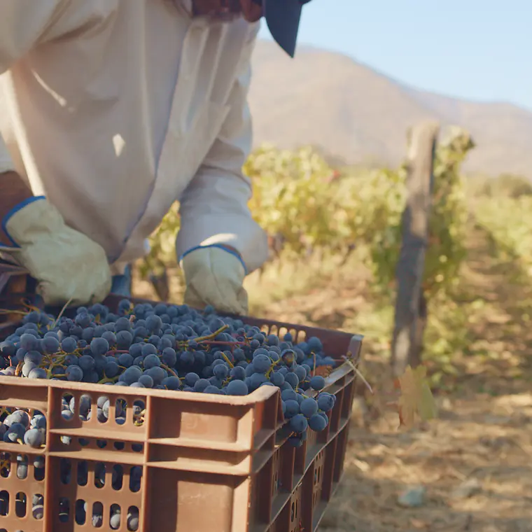 Private helicopter 4 Pax tour Vik Vineyard  6