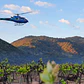 Private helicopter 4 Pax tour Vik Vineyard  - thumbnail 5