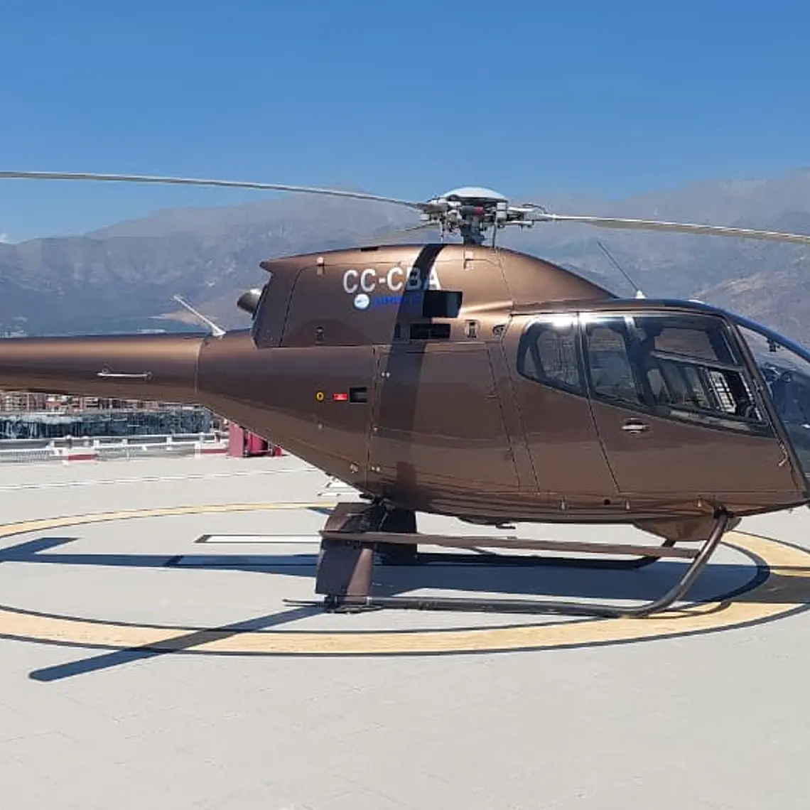 Reserva Heli Tour privado Vinícola Vik  2