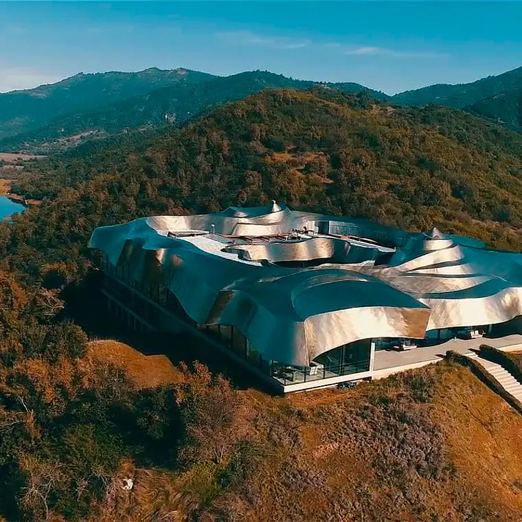 Reserva Heli Tour privado Vinícola Vik  1