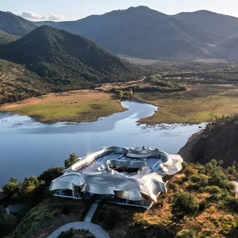 Reserva Heli Tour privado Vinícola Vik  3