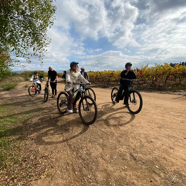 Reservation for 9 passenger bike & vineyard tour  2