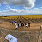 Reservation for 9 passenger bike & vineyard tour  - Thumbnail 3