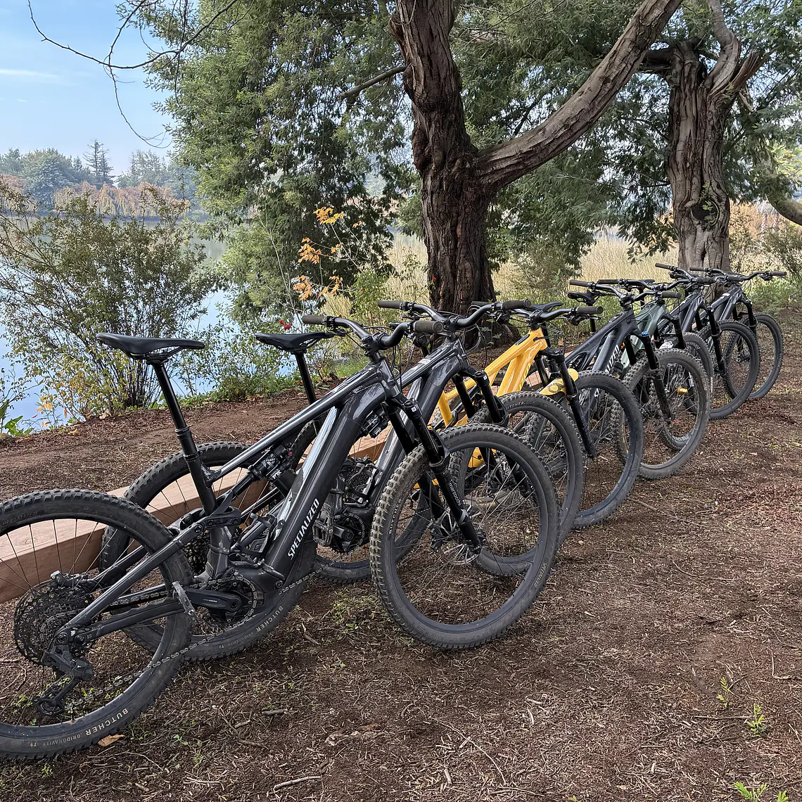 E-Bike Day Tour  1