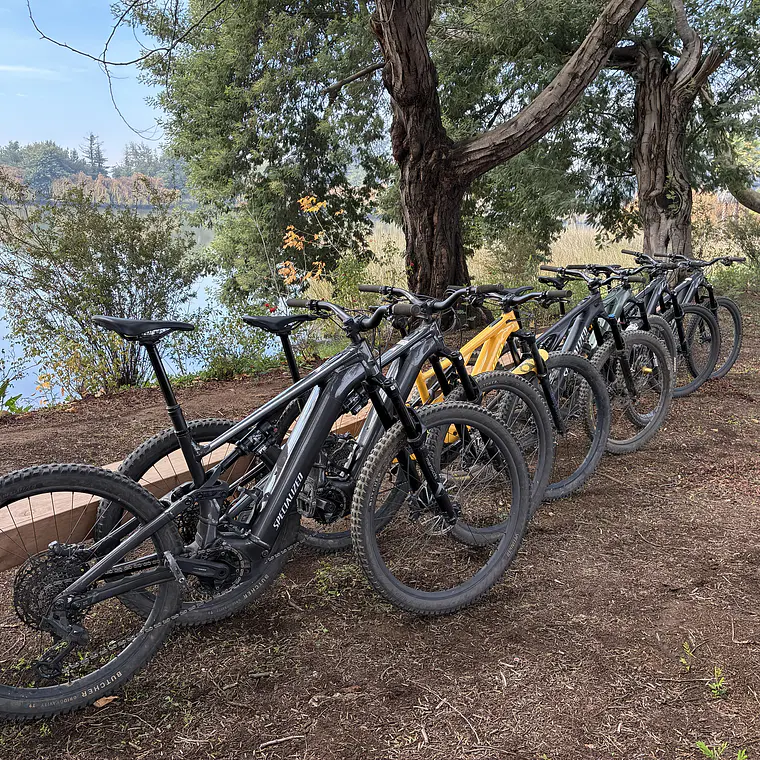 E-Bike Day Tour  1