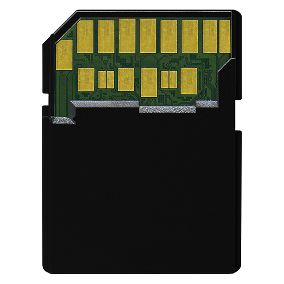 Tarjeta Memoria Delkin Devices 32GB SDHC Black Rugged UHS-II- Image 4