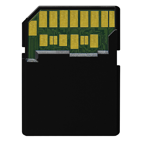 Tarjeta Memoria Delkin Devices 64GB SDXC Black Rugged UHS-II- Image 4