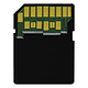 Tarjeta Memoria Delkin Devices 64GB SDXC Black Rugged UHS-II - Image 4