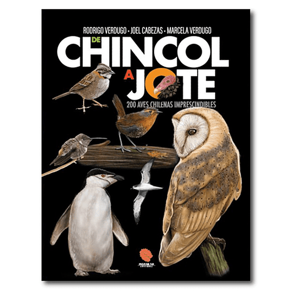 De Chincol a Jote: 200 Aves Chilenas Imprescindibles- Image 1