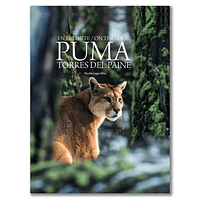 En el límite, Puma Torres del Paine