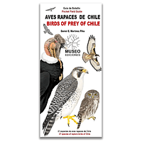 Guía de Campo Aves Rapaces de Chile
