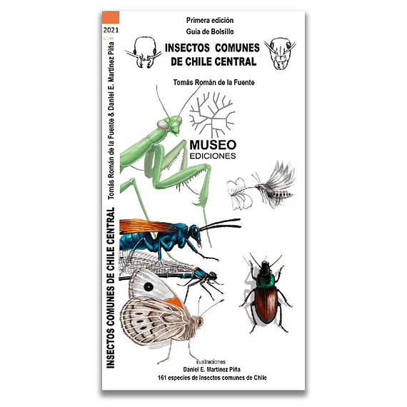 Guía de Campo Insectos Comunes de Chile Central- Image 1