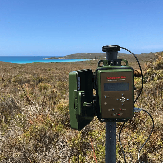 Grabadora Sonido Fauna Song Meter SM4- Image 9