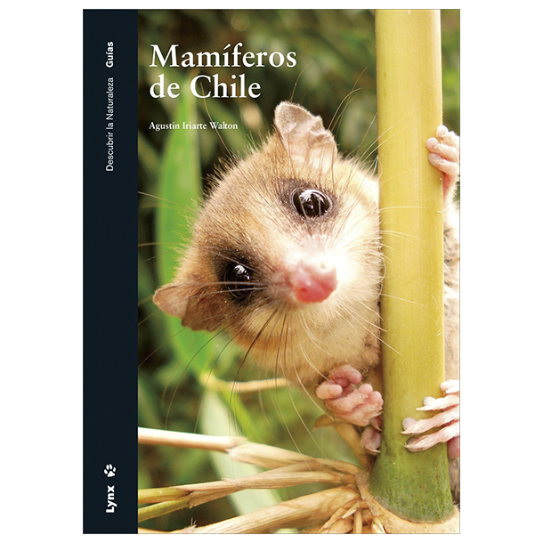 Mamíferos de Chile