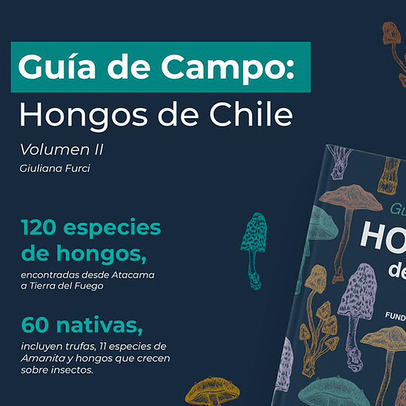 Guía de Campo Hongos de Chile Volumen II- Image 4