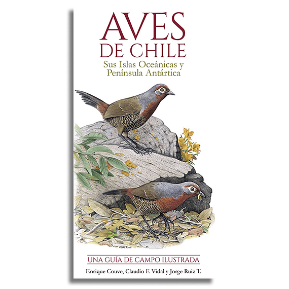 Aves de Chile Guía de Campo Ilustrada- Image 1