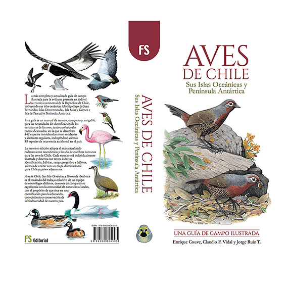 Aves de Chile Guía de Campo Ilustrada- Image 2