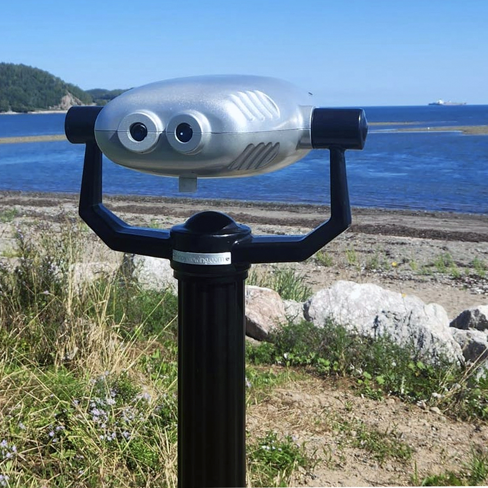 Binoculares Escénicos Hi-Spy Dual Viewer 20x60mm 8