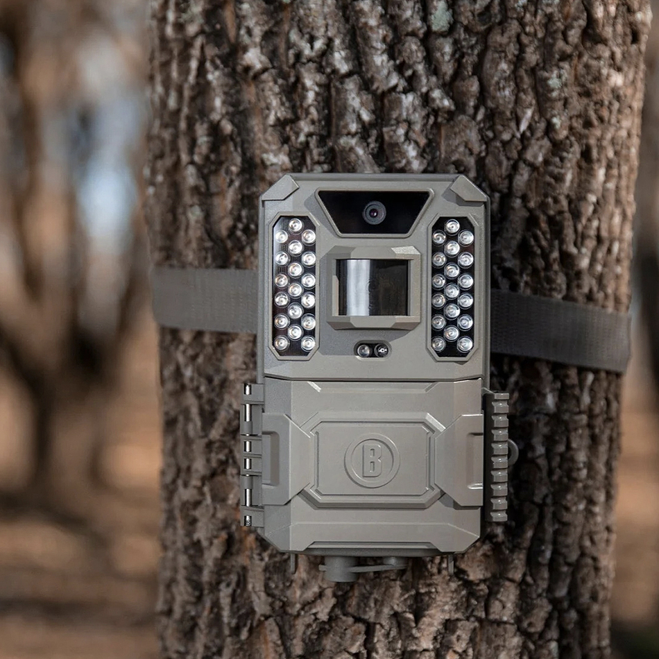 Cámara Trampa Bushnell Prime Low Glow 4