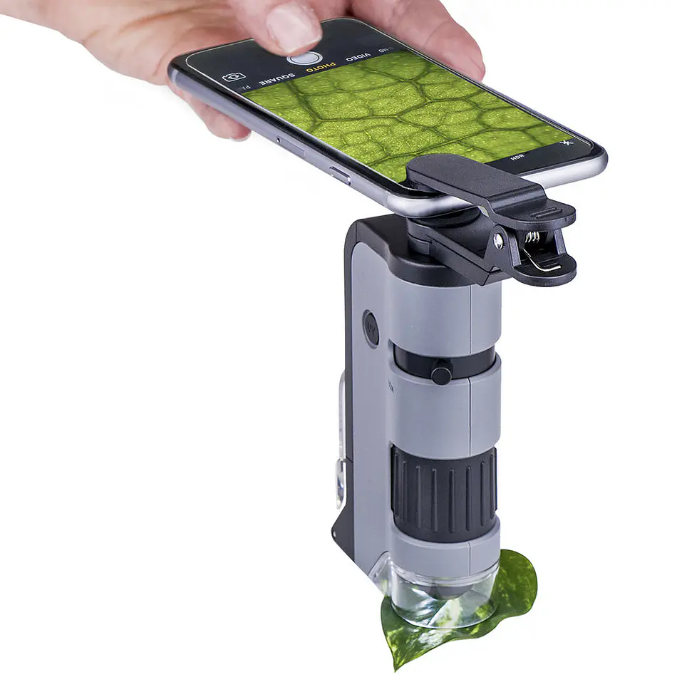 Microscopio Bolsillo Carson MicroFlip 100-250X Gris 7