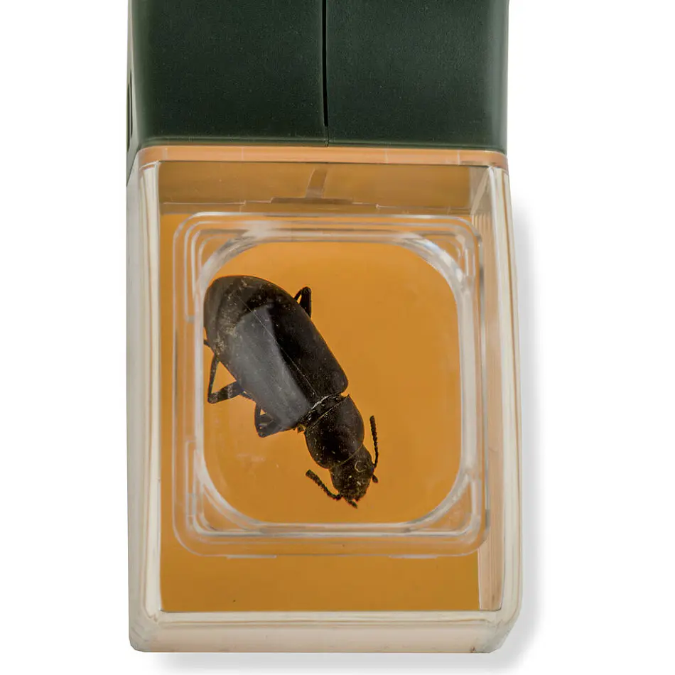 Lupa Insectos Carson BugView 5x Verde 6