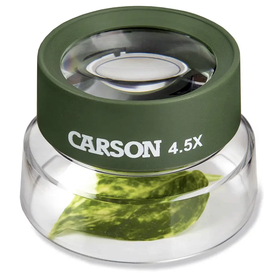 Lupa Insectos Carson BugLoupe 4,5x Verde 2