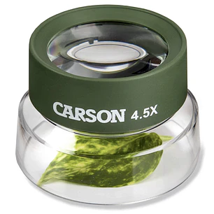 Lupa Insectos Carson BugLoupe 4,5x Verde