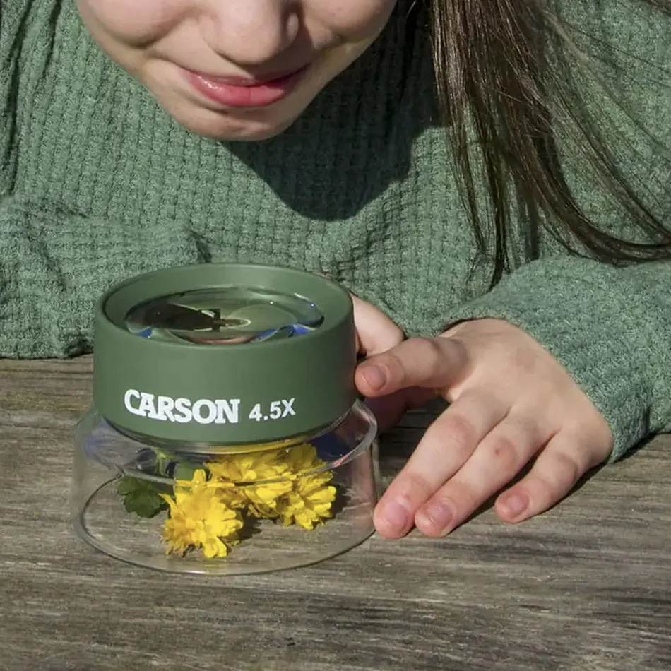 Lupa Insectos Carson BugLoupe 4,5x Verde 3