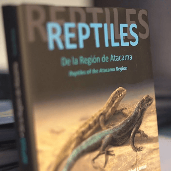 Reptiles De La Región De Atacama- Image 2