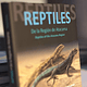 Reptiles De La Región De Atacama - Image 2