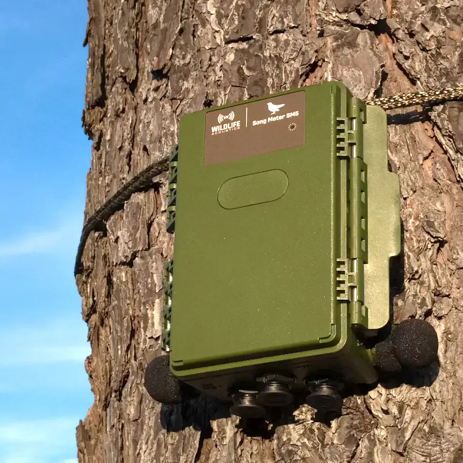 Grabadora Sonido Wildlife Acoustics Fauna Song Meter SM5 4