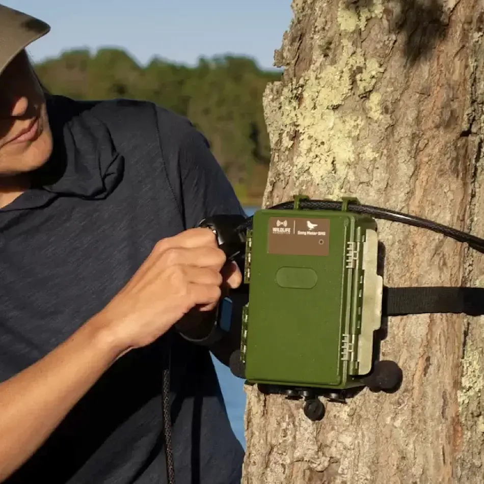 Grabadora Sonido Wildlife Acoustics Fauna Song Meter SM5 6