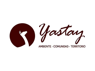 Andes Photo