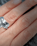 Anillo Cabeza De Elefante Plata Fina 925 